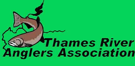 LogoBanner